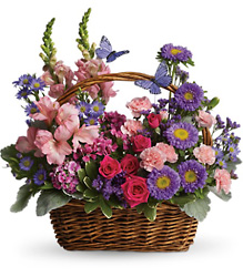 Lasting Love Butterfly Basket from Olney's Flowers of Rome in Rome, NY